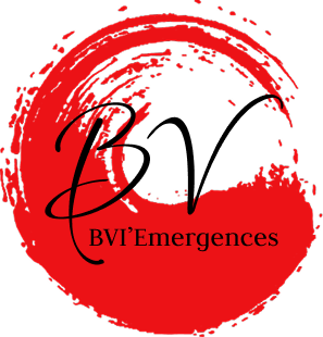BVI'Emergences